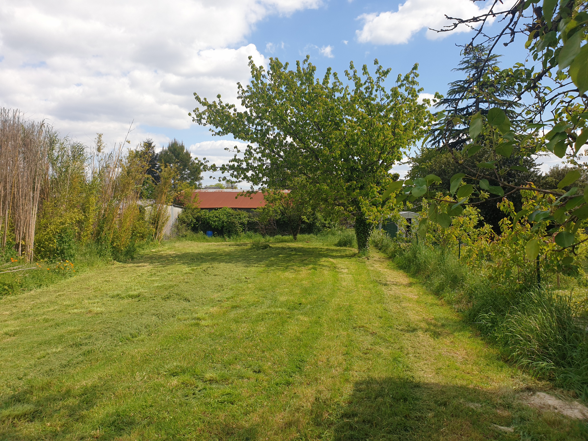 Agence immobilière de BOISSON IMMOBILIER