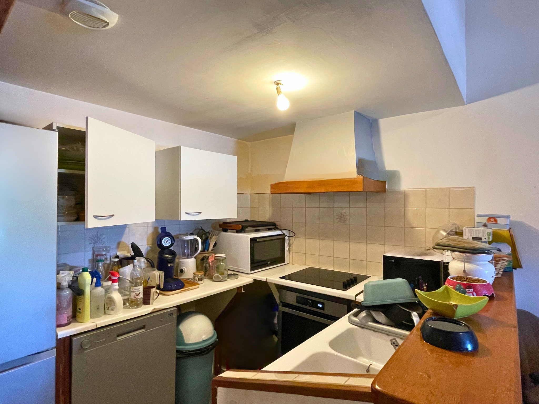 Maison à vendre à Chateaubernard, 370 m², 20 pièces – photo 3 sur 15